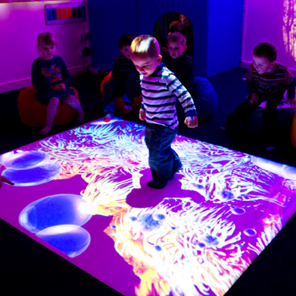 Interactive Projection