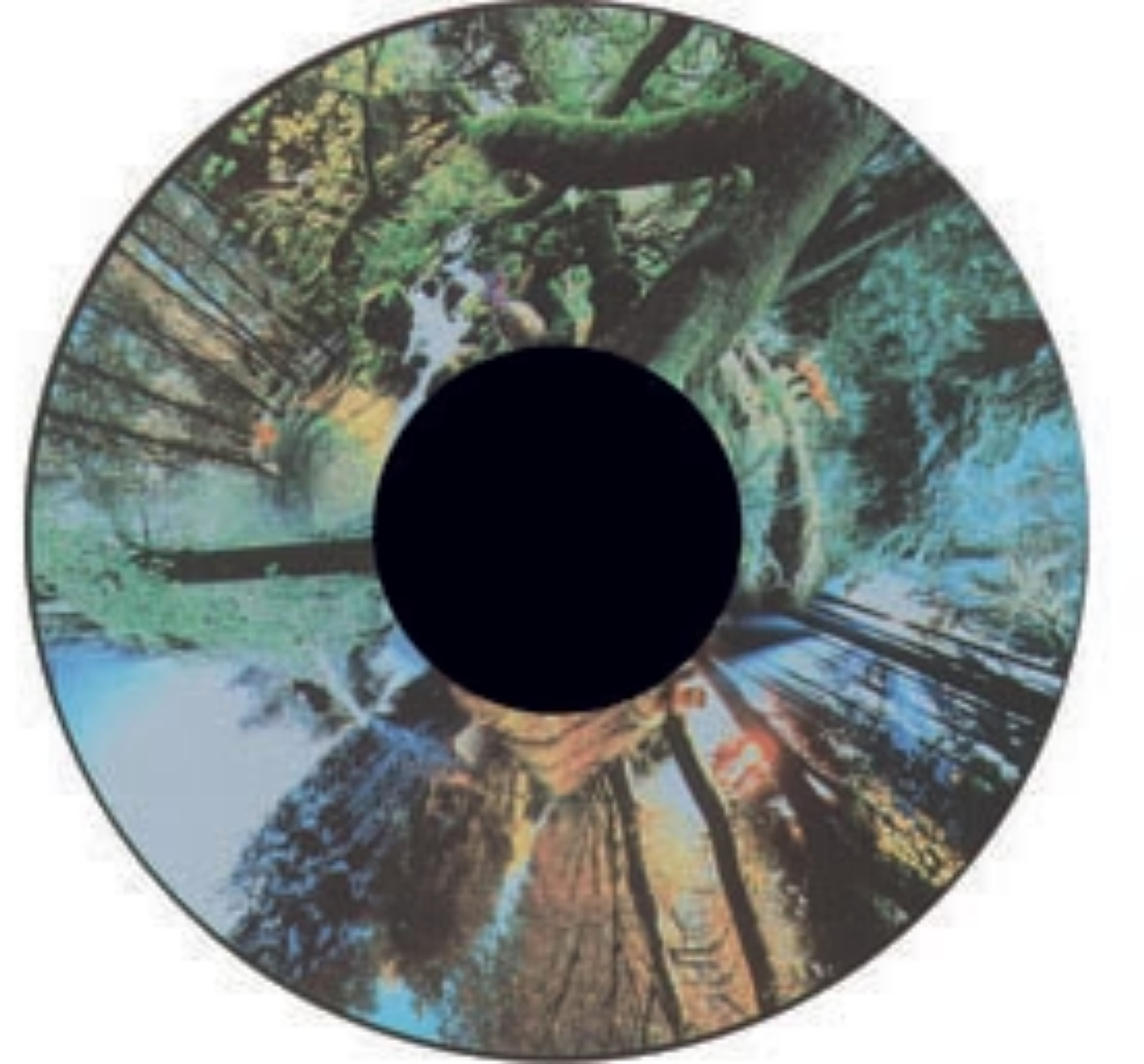 Projection Pattern Wheels 6