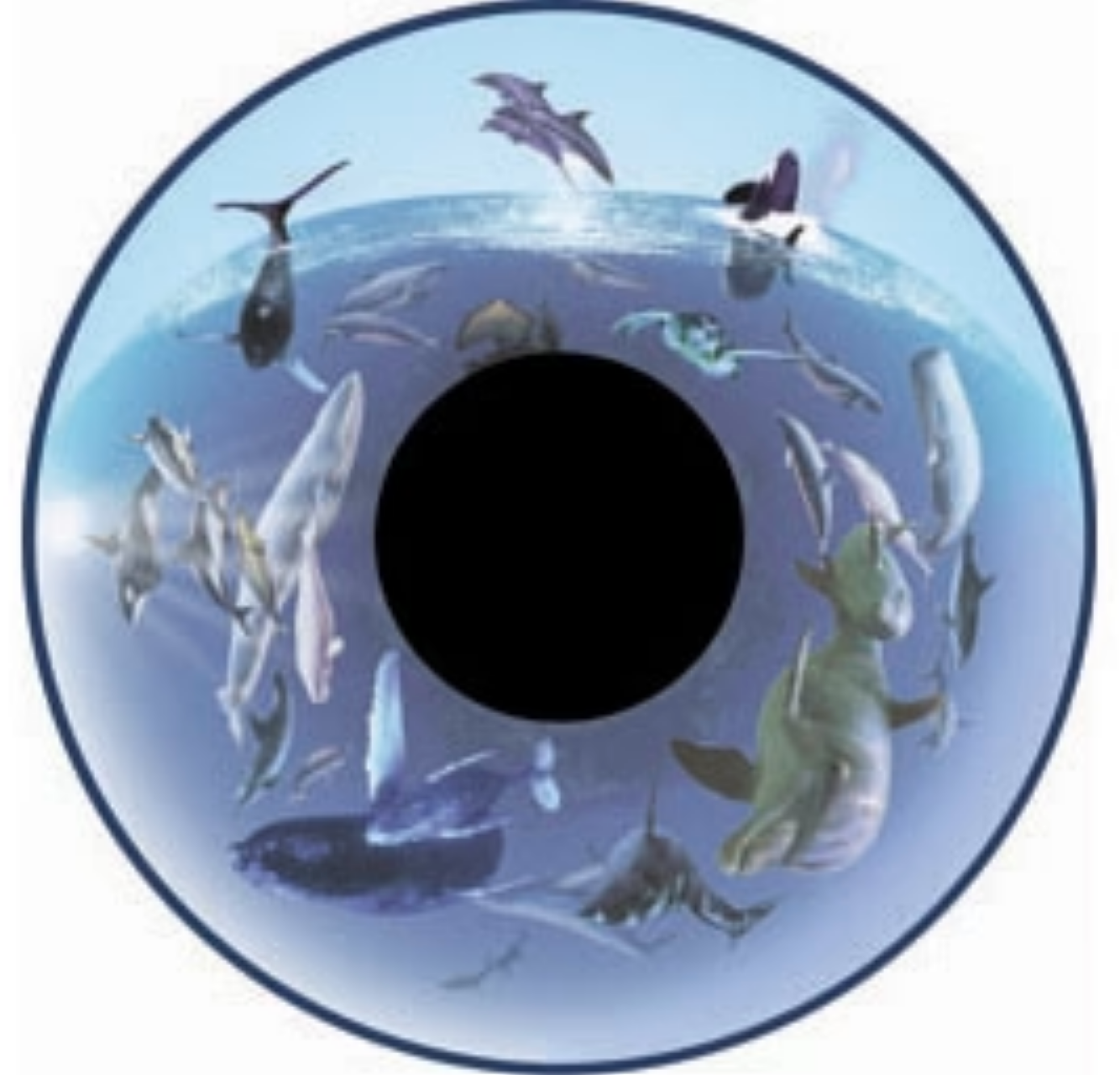 Projection Pattern Wheels 6