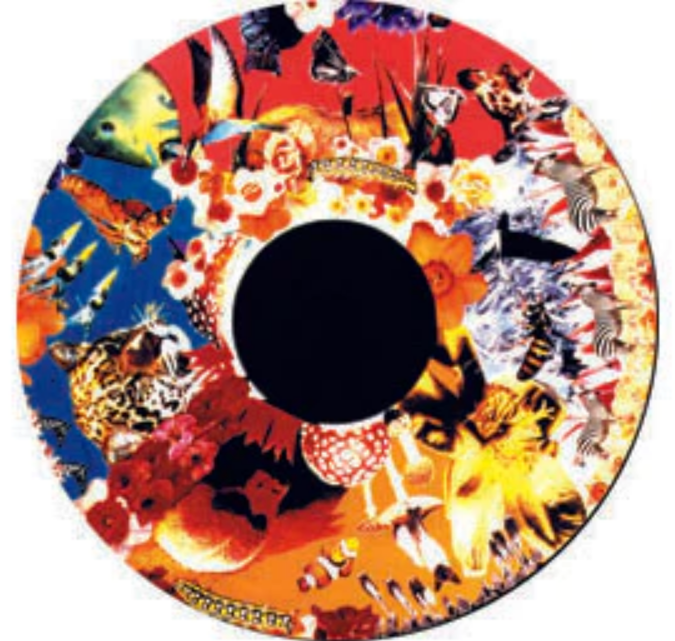 Projection Pattern Wheels 6