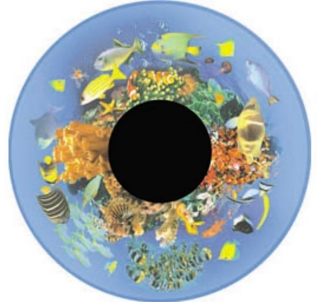 Projection Pattern Wheels 6