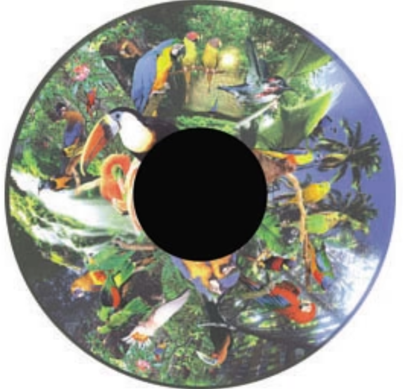 Projection Pattern Wheels 6